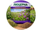 Люцерна