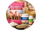 Минеральные добавки для свиней