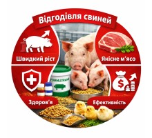 Відгодівля свиней