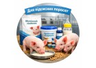 Для підсисних поросят