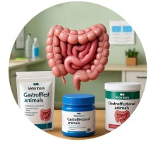 Шлунково-кишкові