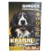 Краплі на холку Ginger Professional від бліх та кліщів для собак 10-30 кг 2 мл, 1 піпетка