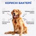 Комбіфлор Пробіотик ModeS порошок для підтримки балансу мікрофлори кишечника собак та котів по 2 г 1 пакетик