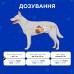 Комбіфлор Пробіотик ModeS порошок для підтримки балансу мікрофлори кишечника собак та котів по 2 г 1 пакетик