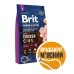 Сухий корм для собак дрібних порід вагою до 10 кг Brit Premium Dog Adult S з куркою, 8 кг