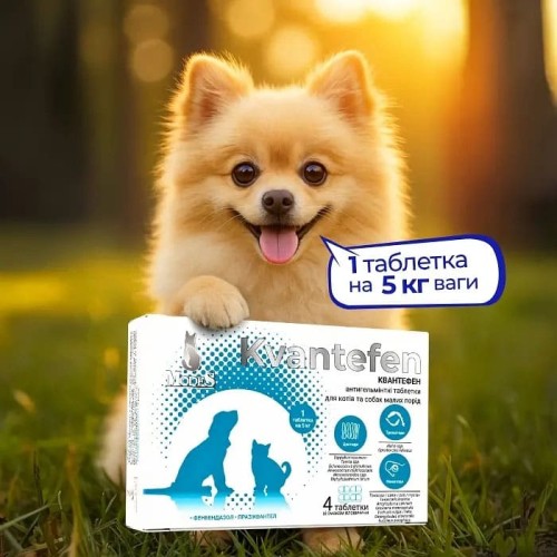 Квантефен ModeS антигельмінтні таблетки для котів і собак малих порід, 4 таблетки