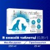 Квантефен ModeS антигельмінтні таблетки для котів і собак малих порід, 4 таблетки