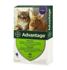 Адвантейдж 80 Elanco (Bayer) краплі від заражень блохами для котів більше 4 кг, 1 піпетка