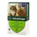 Адвантейдж 80 (Advantage) Elanco - краплі від бліх для котів понад 4 кг, 1 піпетка