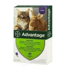 Адвантейдж 80 Elanco (Bayer) краплі від заражень блохами для котів більше 4 кг, 4 піпетки