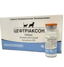 Цефтріаксон (ДЛЯ ТВАРИН) порошок для розчину для ін'єкцій по 1 г у флак.