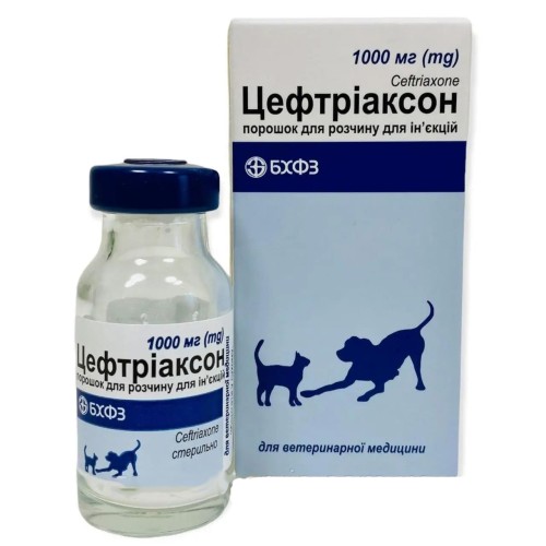 Цефтріаксон 1 г БХФЗ порошок для ін'єкцій - антибіотик для собак і котів при септицемії, артриті, перитоніті, інфекціях кишечника, дихальних і сечових шляхів, флакон