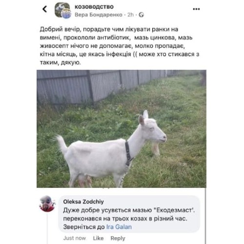 Екодезмаст - протимаститний гель для вимені і сосків з ехінацеєю та календулою